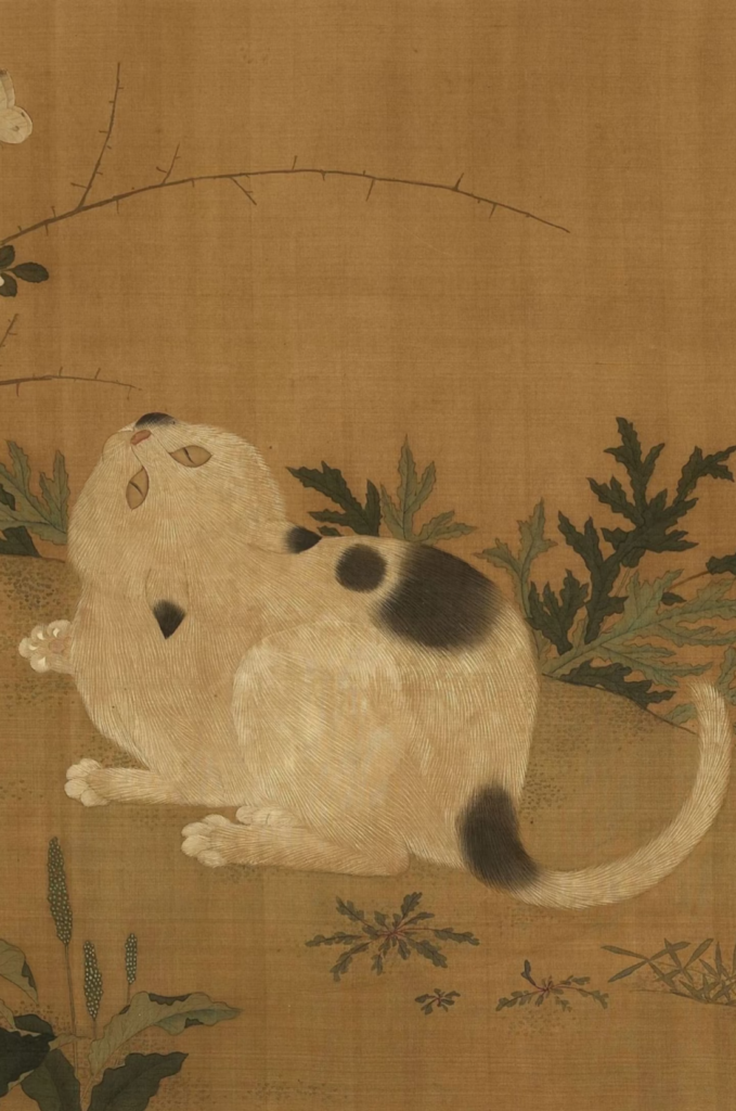 Tuxedo Cat in Ancient China