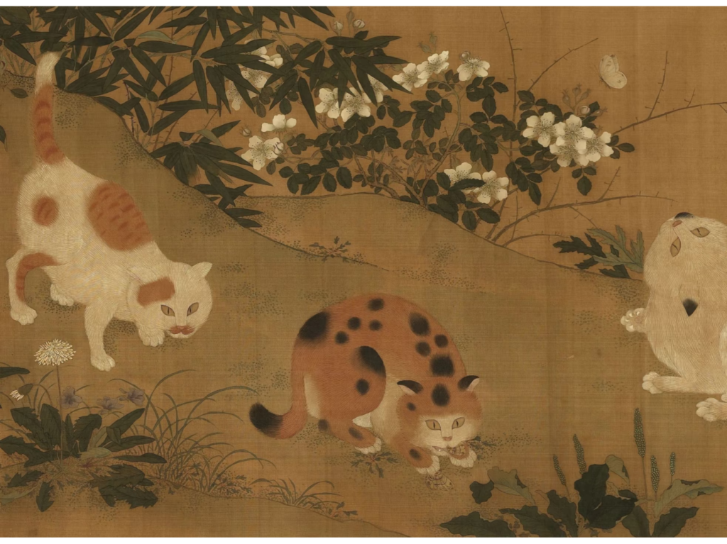cat
